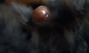 گروه عیاشی وحشی با حفره سفت و دریایی اسپرم عکس پسر های سکسی